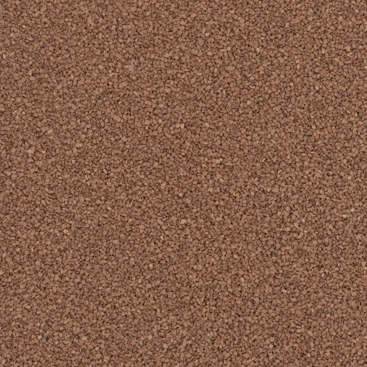Torginol, Inc. | Toffee